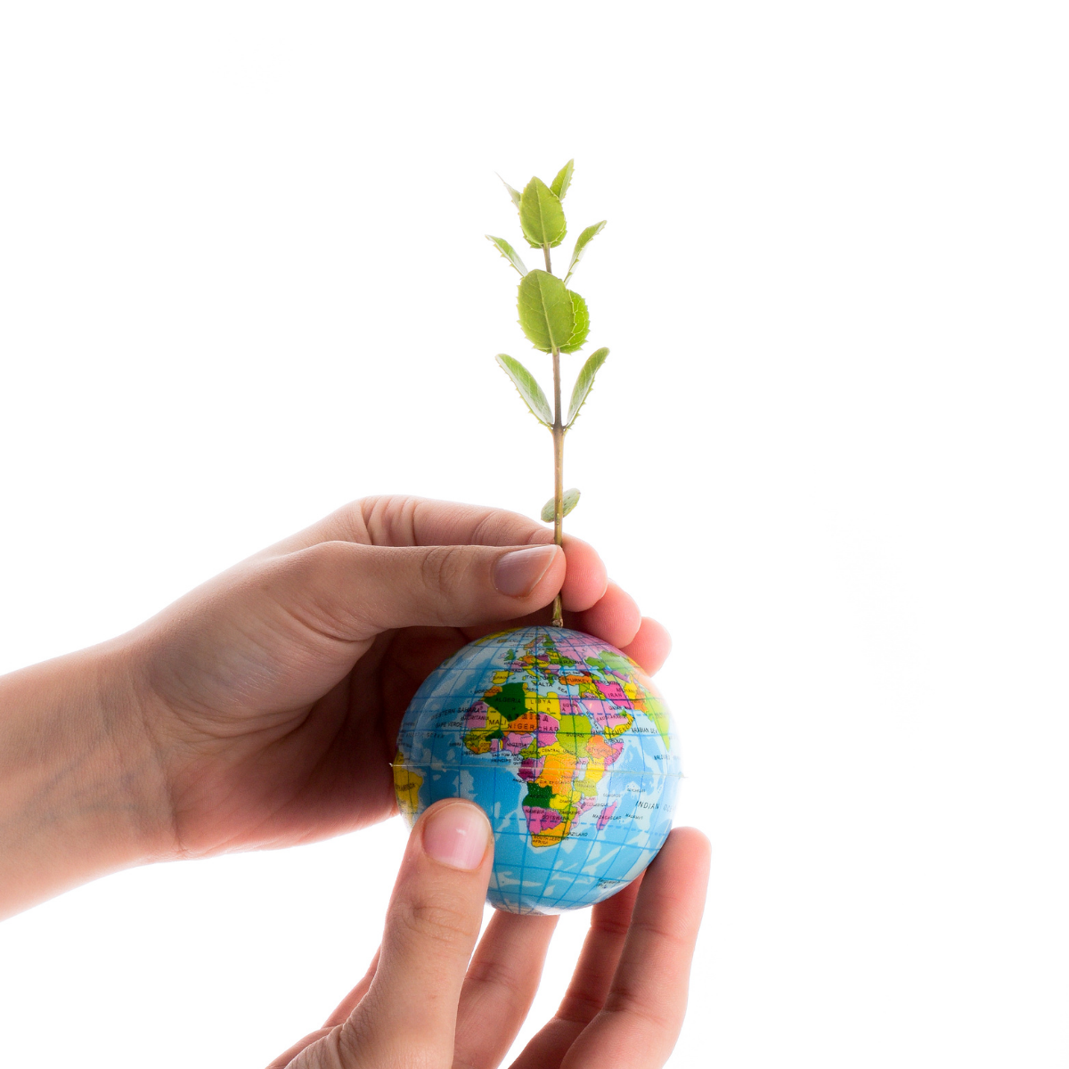 ¿Sabes qué es el Pacto Verde Europeo?